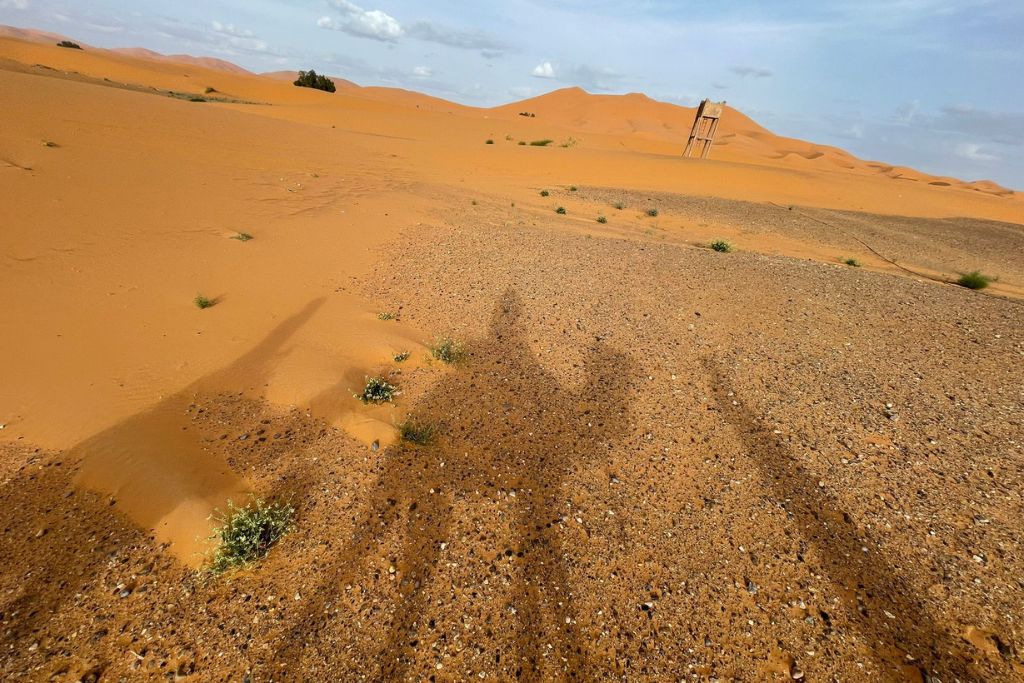 The shadow of a photographer stretches across a pebbly foreground onto smooth orange sands of the desert, with sparse greenery and majestic dunes under a cloudy sky. A solitary wooden structure stands in the distance.