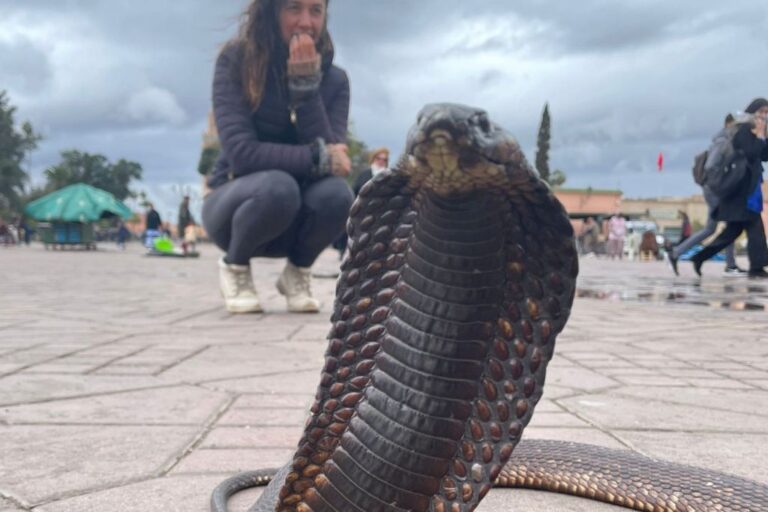 A woman crouching and smiling in the background with a large cobra snake in the foreground, displaying its hood in a typical threat posture, in a busy outdoor square with other people and a cloudy sky overhead.
