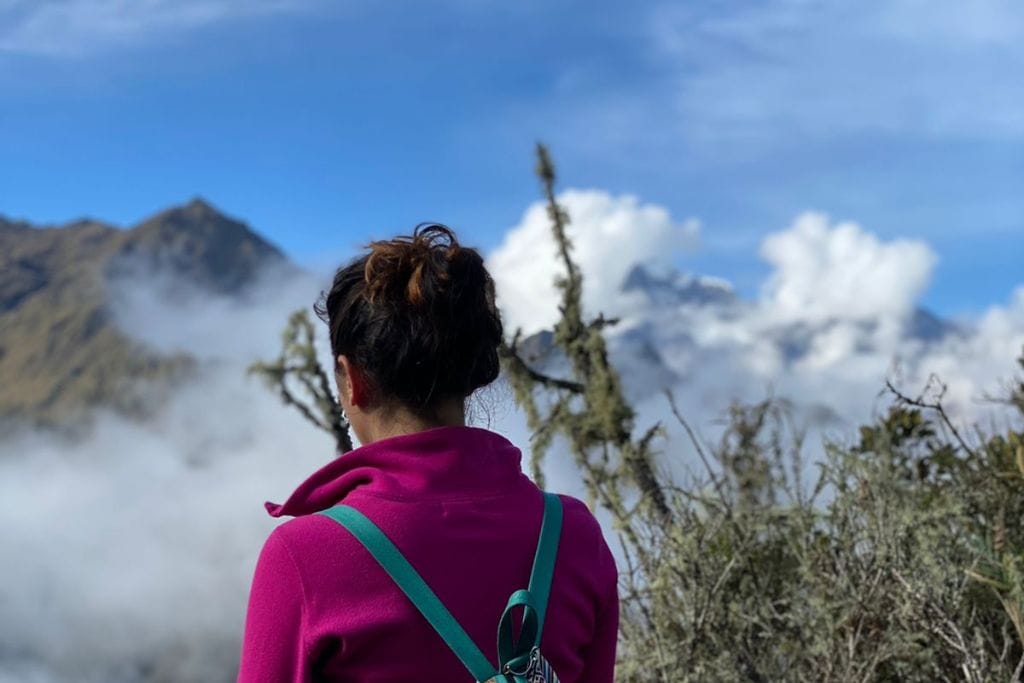 A woman in a magenta hoodie gazes at a mountain range partially shrouded by clouds under a blue sky, the foreground dotted with shrubbery and hints of mist.