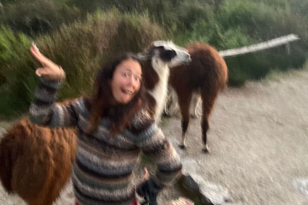 A blurred image capturing a moment of delight as a woman, in a multicolored sweater, appears to be in mid-motion, gesturing excitedly next to a llama with a backdrop of lush greenery at dusk.