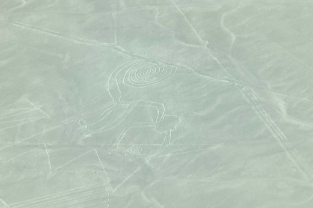 Why are the Lines of Nazca a Mystery of Peru? Overhead shot of the Nazca Lines featuring the monkey geoglyph with its spiraled tail and hands, carved into the pale sands of the Peruvian desert, as seen from an aircraft.