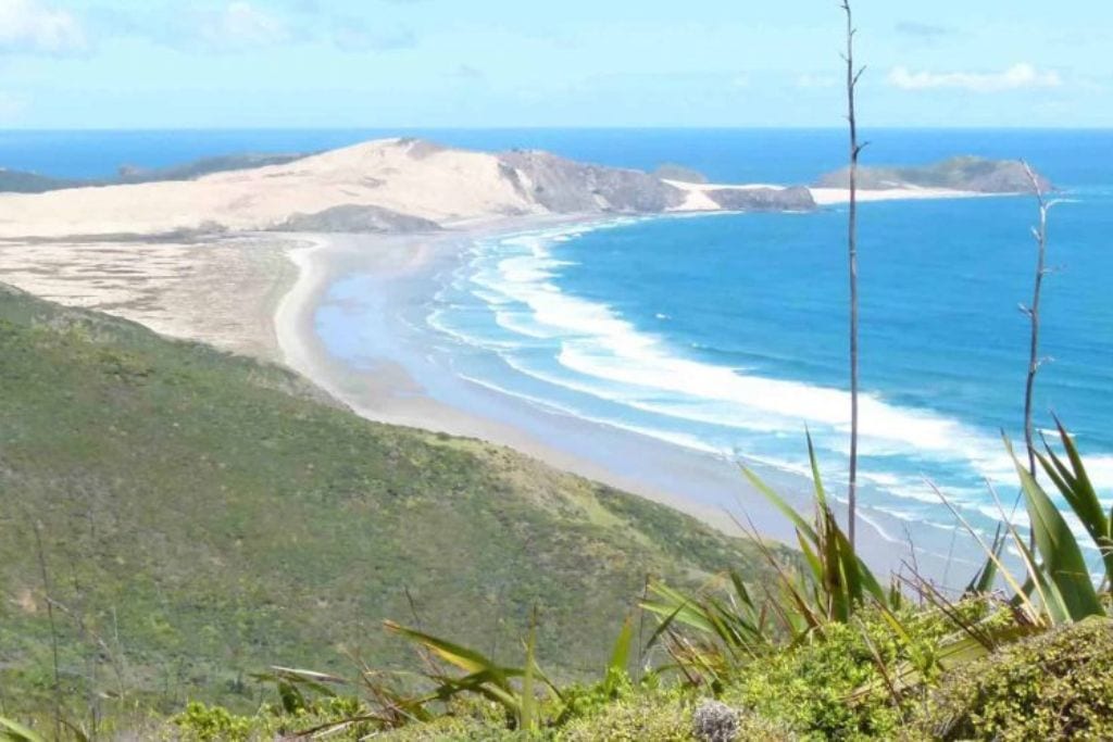 Aerial view of a secluded beach near Cape Reinga with a winding river merging into the sea, surrounded by rugged terrain and lush greenery.