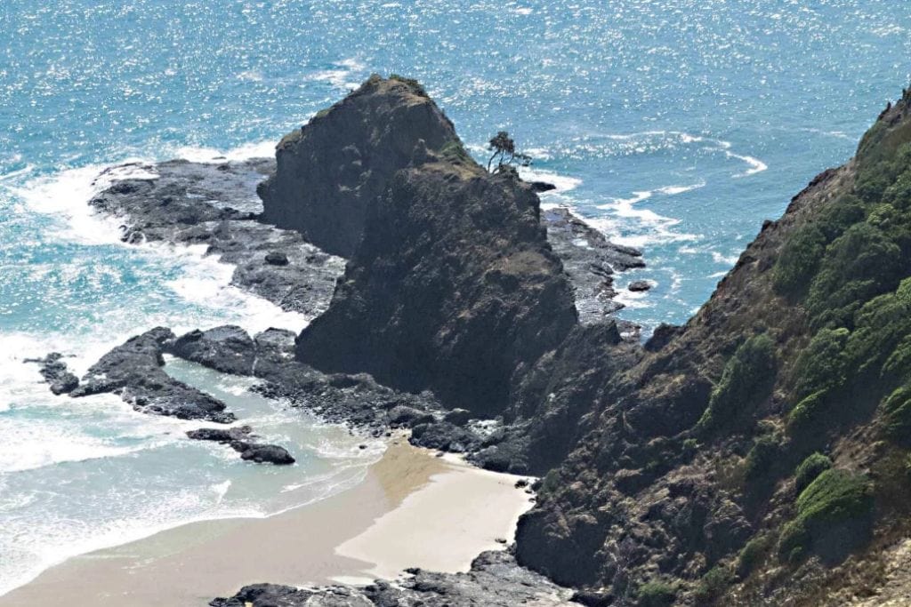 Cape Reinga: The Maori Sacred Site of New Zealand Rocky coastline near Cape Reinga with a solitary tree on a rocky outcrop overlooking a sandy cove and turbulent ocean waters.