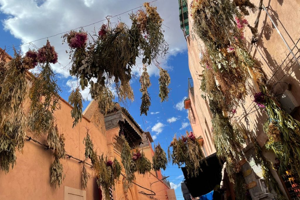 The Seven Saints of Marrakech (Local Insight of Marrakesh) Dried flowers and herbs are hanging from strings above a narrow alleyway lined with peach-colored buildings. The scene is vibrant under a bright blue sky with scattered clouds, capturing the rustic charm and rich textures of the marketplace. Shadows from the hanging plants add depth to the picturesque street view.