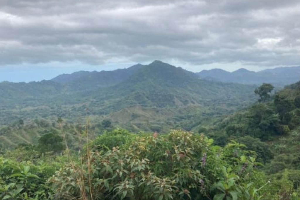 How to Get to the Lost City Colombia? My Personal Experience in 2026! A panoramic view of the Sierra Nevada de Santa Marta, showcasing rolling green mountains under a cloudy sky, with dense vegetation in the foreground.