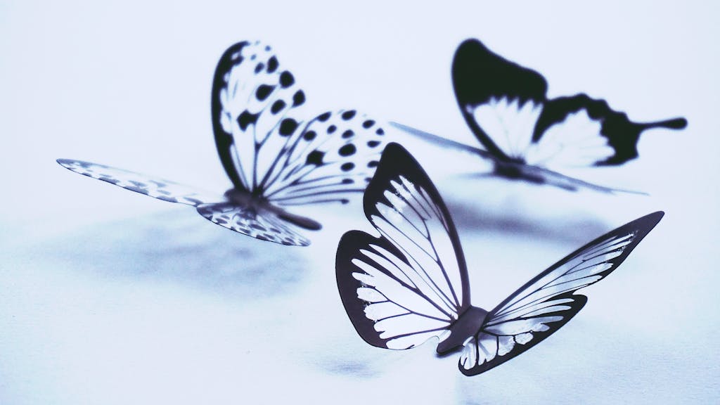 Image of a butterflies with its wings gently spread open. The background is peaceful and blurred, highlighting the butterfly's delicate features and the tranquil atmosphere of the scene. Image used for article monarch butterfly spirit animal.