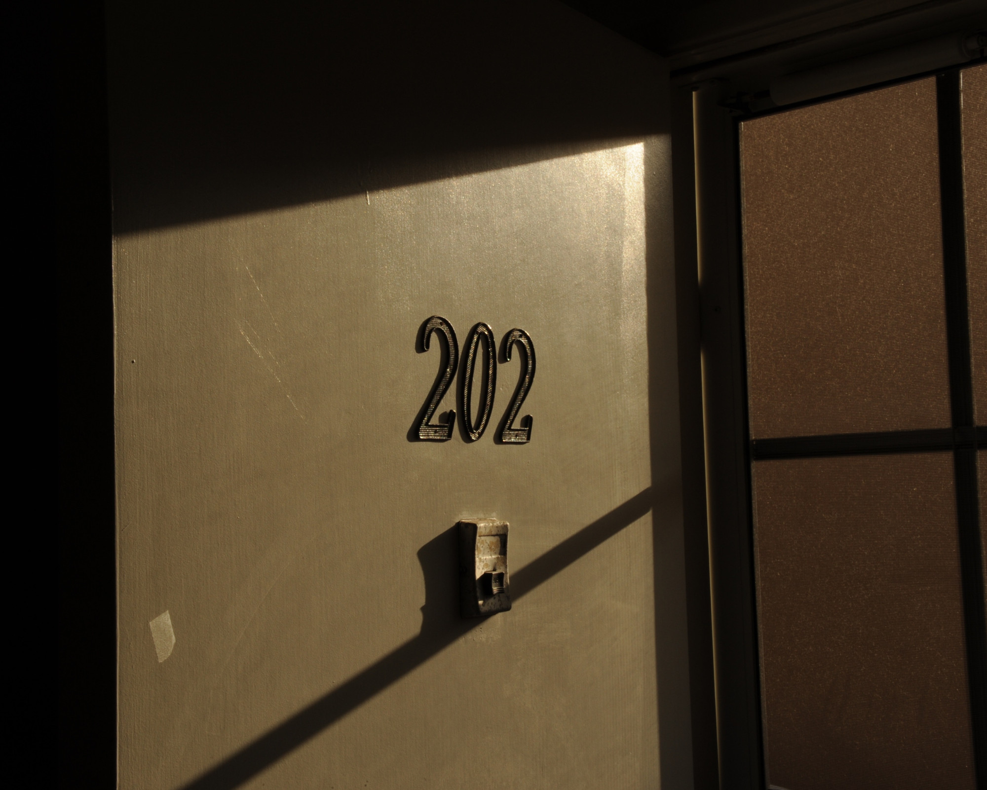 Door marked with 202 illuminated by light, symbolizing new beginnings and messages behind angel numbers 202.