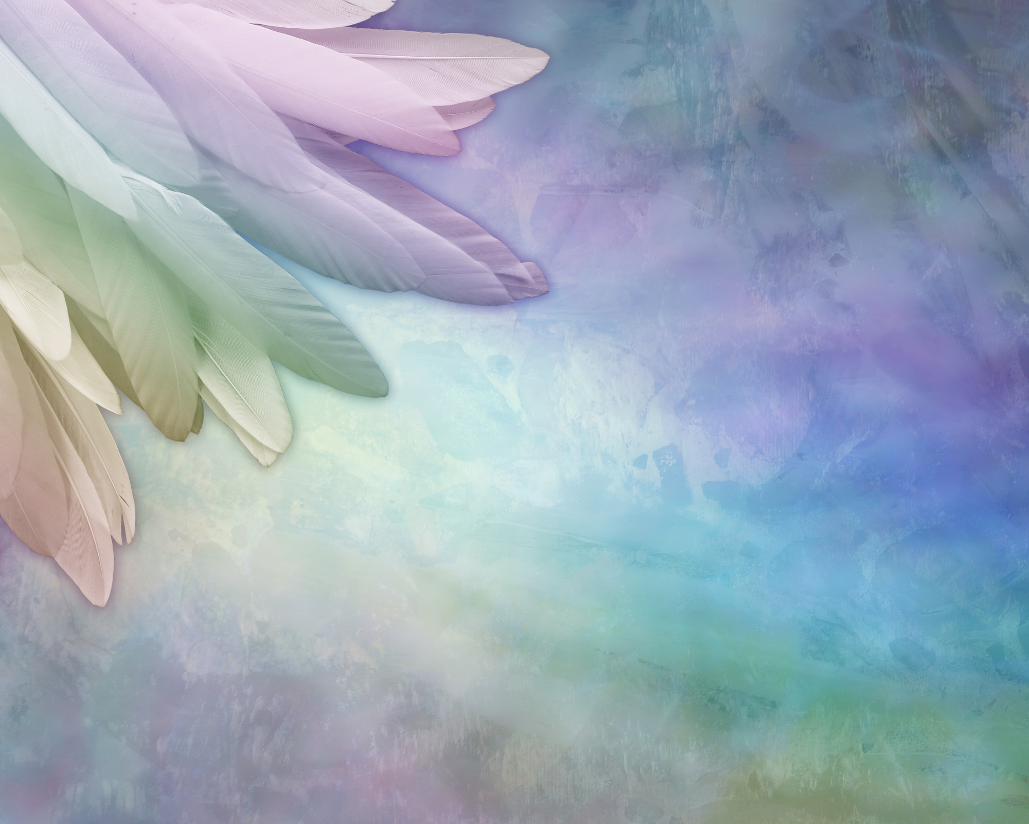 Soft pastel angel wings symbolizing protection, balance, and divine guidance connected to angel numbers 202