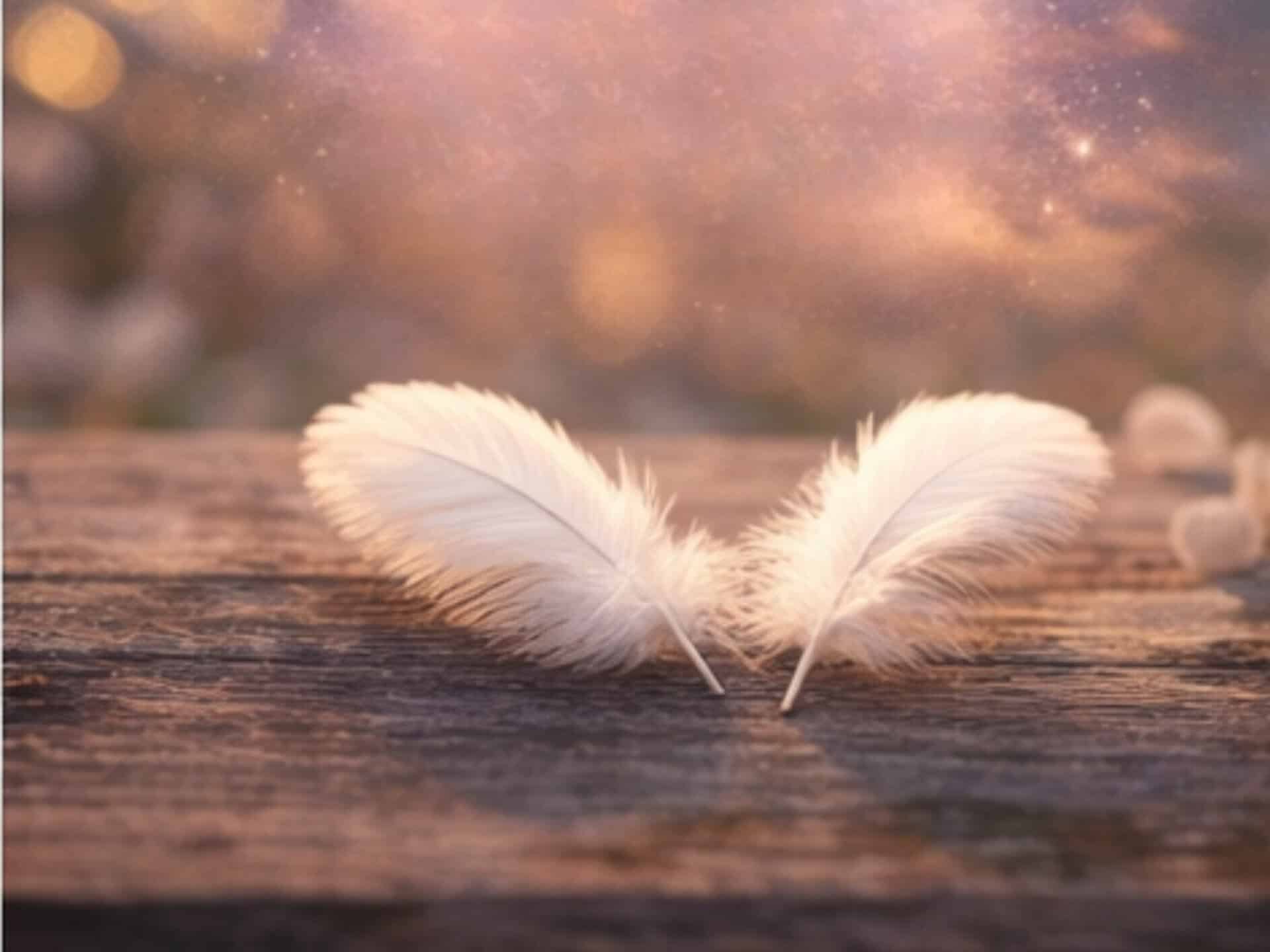 Angel Number 222 Meaning: What Is the Universe Trying to Tell You? Soft white feathers on a wooden surface symbolizing angel numbers 222 and divine guidance from the universe