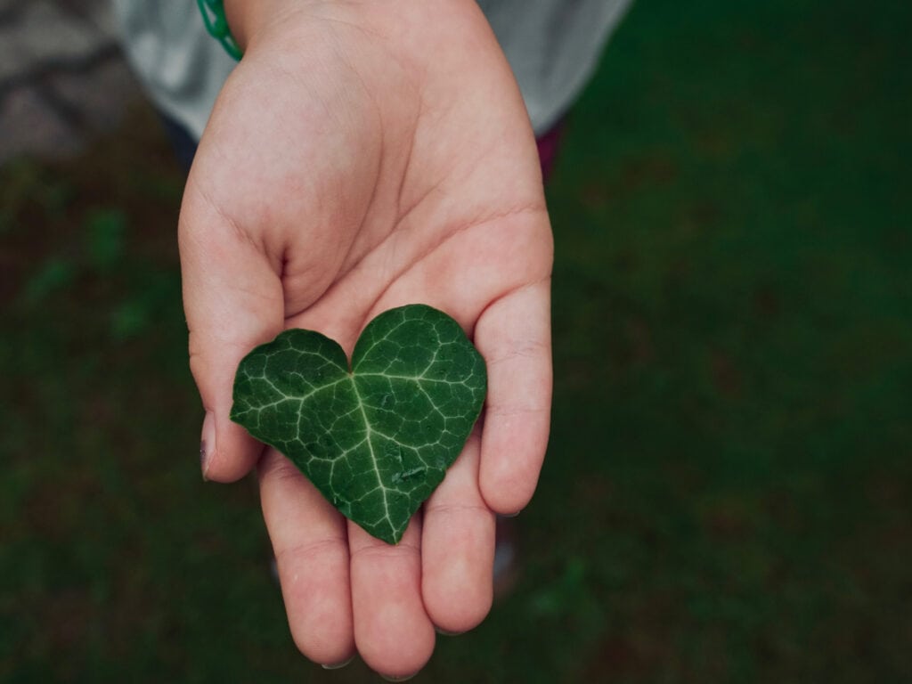 Heart-shaped leaf held gently in a person's hand.