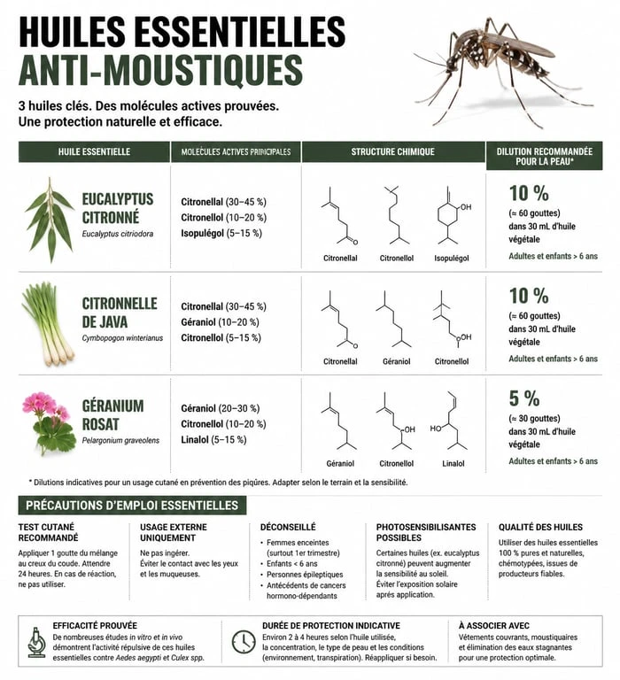 Infographie sur l'utilisation des huiles essentielles contre les moustiques : dilutions et précautions