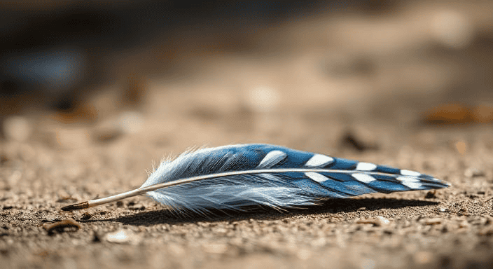 Finding a Blue Jay Feather? Here’s What It Means Spiritually