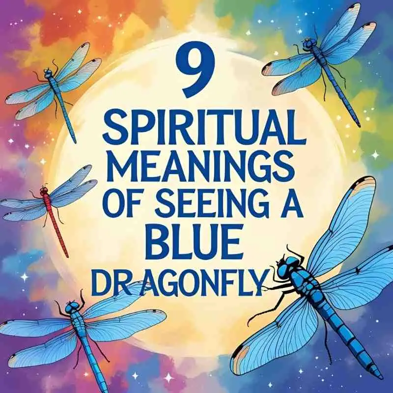 What Does It Mean to See a Blue Dragonfly? – 9 Spiritual Meanings of Calm and Guidance