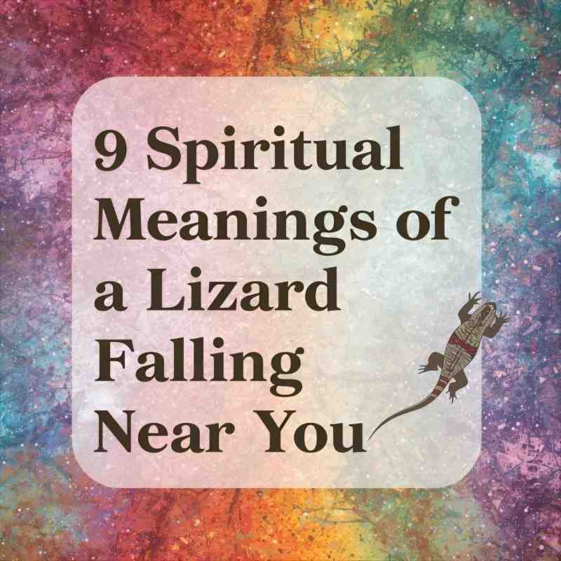 9 Spiritual Meanings of a Lizard Falling Near You (A Sudden Sign of Change)