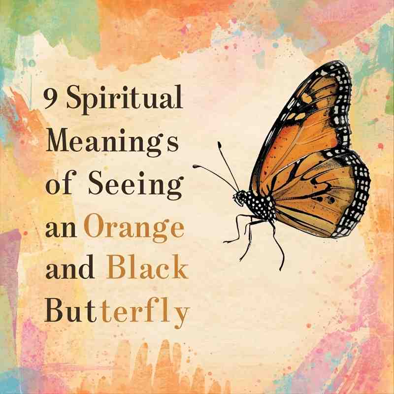 9 Powerful Spiritual Meanings of Seeing an Orange and Black Butterfly