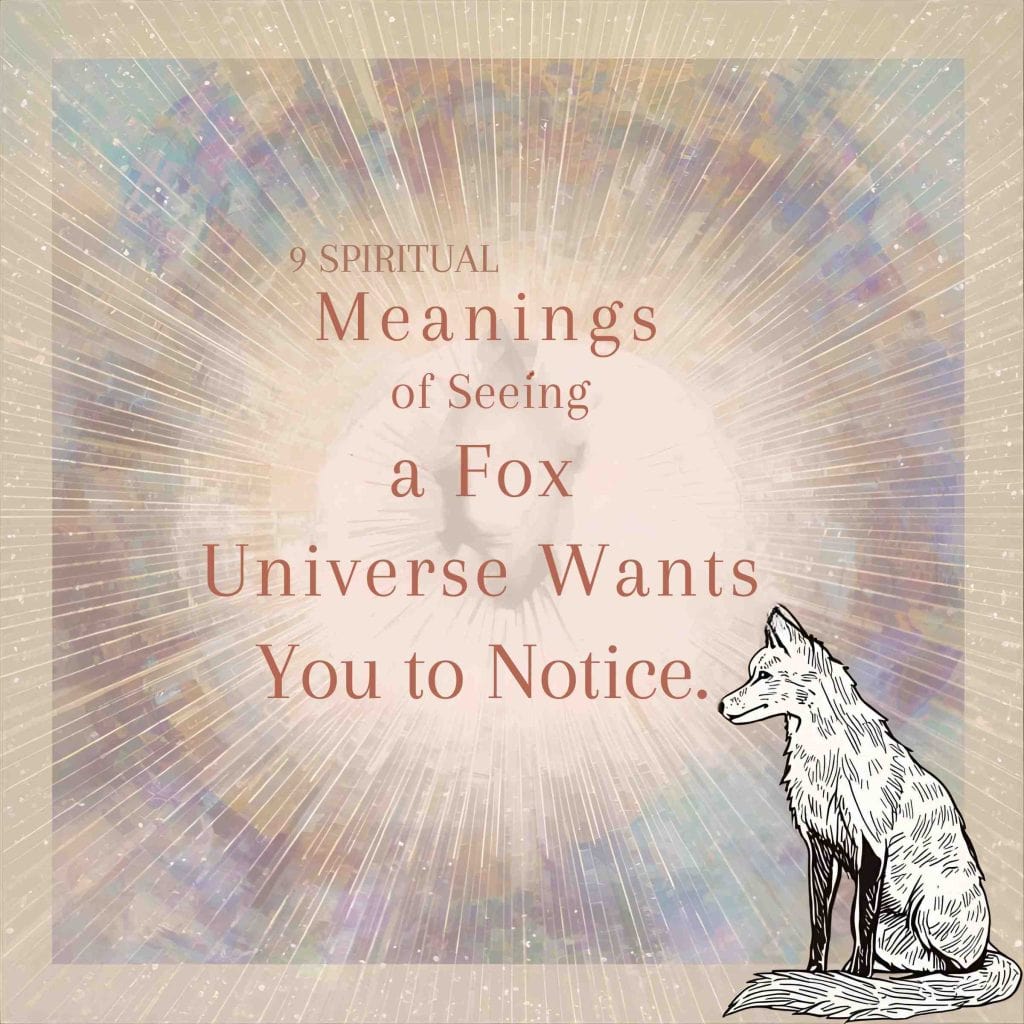 spiritual-meanings-seeing-fox