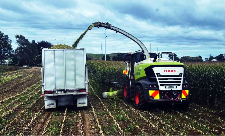 Sanson Agriculture, New Zealand, farming machinery, forage harvester, crop harvesting, agricultural equipment, farm machinery, sustainable farming practices, crop collection, modern agriculture, rural farm scene.