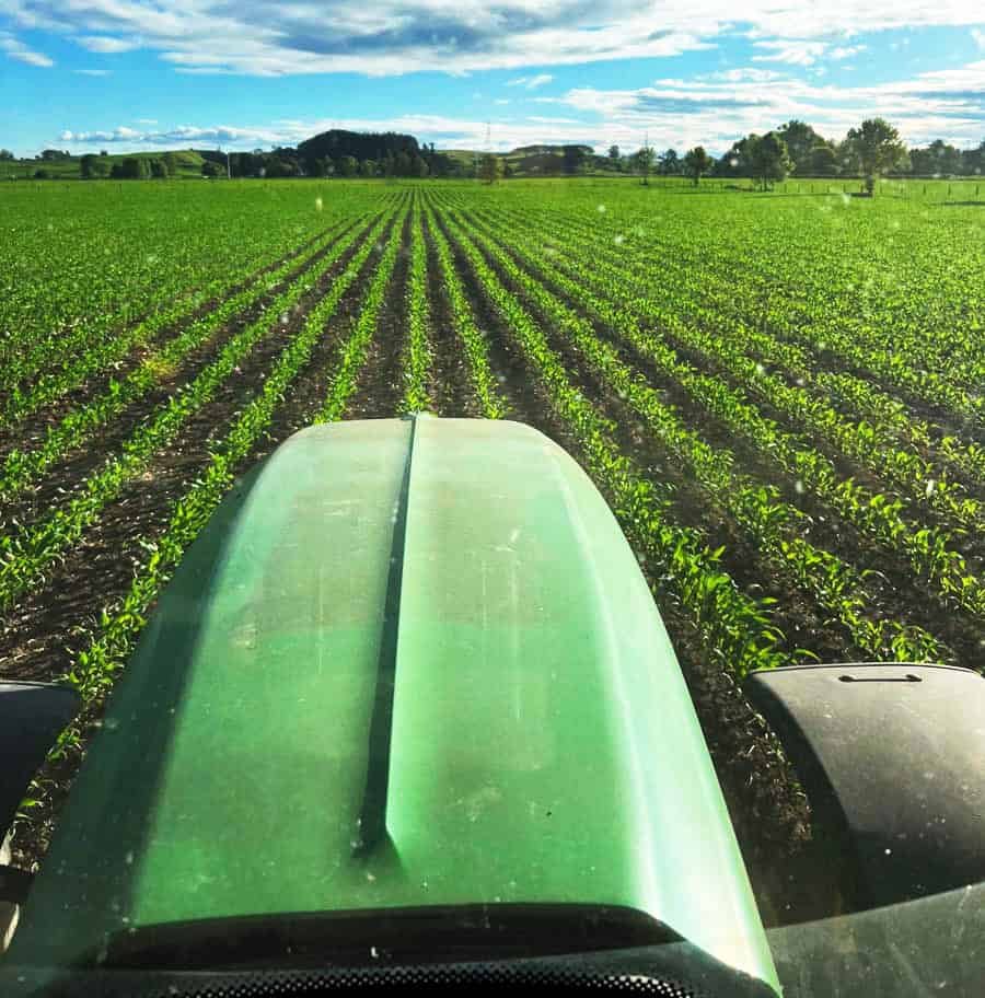 Vast green farm with tractor, young crops thriving in lush field, sunny New Zealand farming scene.
