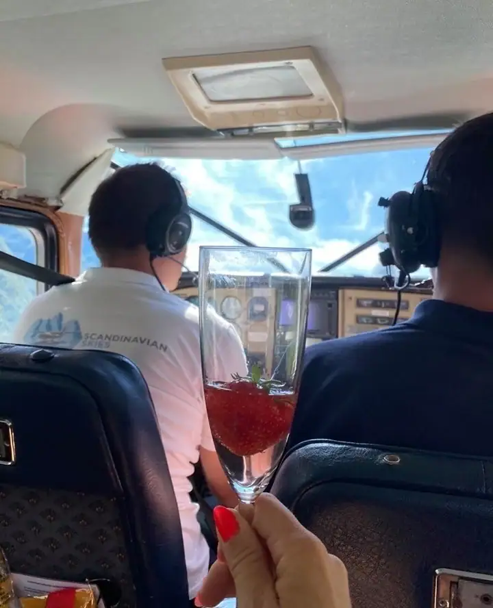 Cessna 206