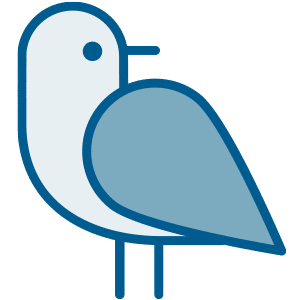 Bird Icon