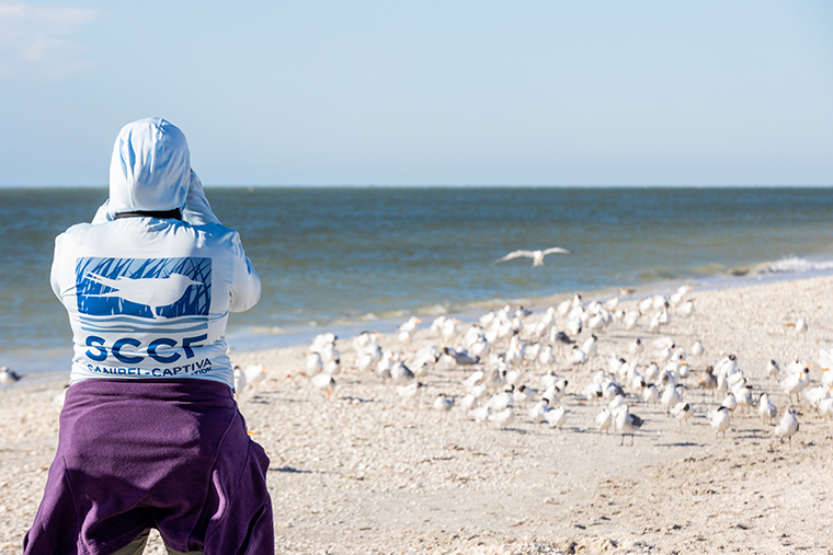 a7nkgfujlo1oafaazkyc