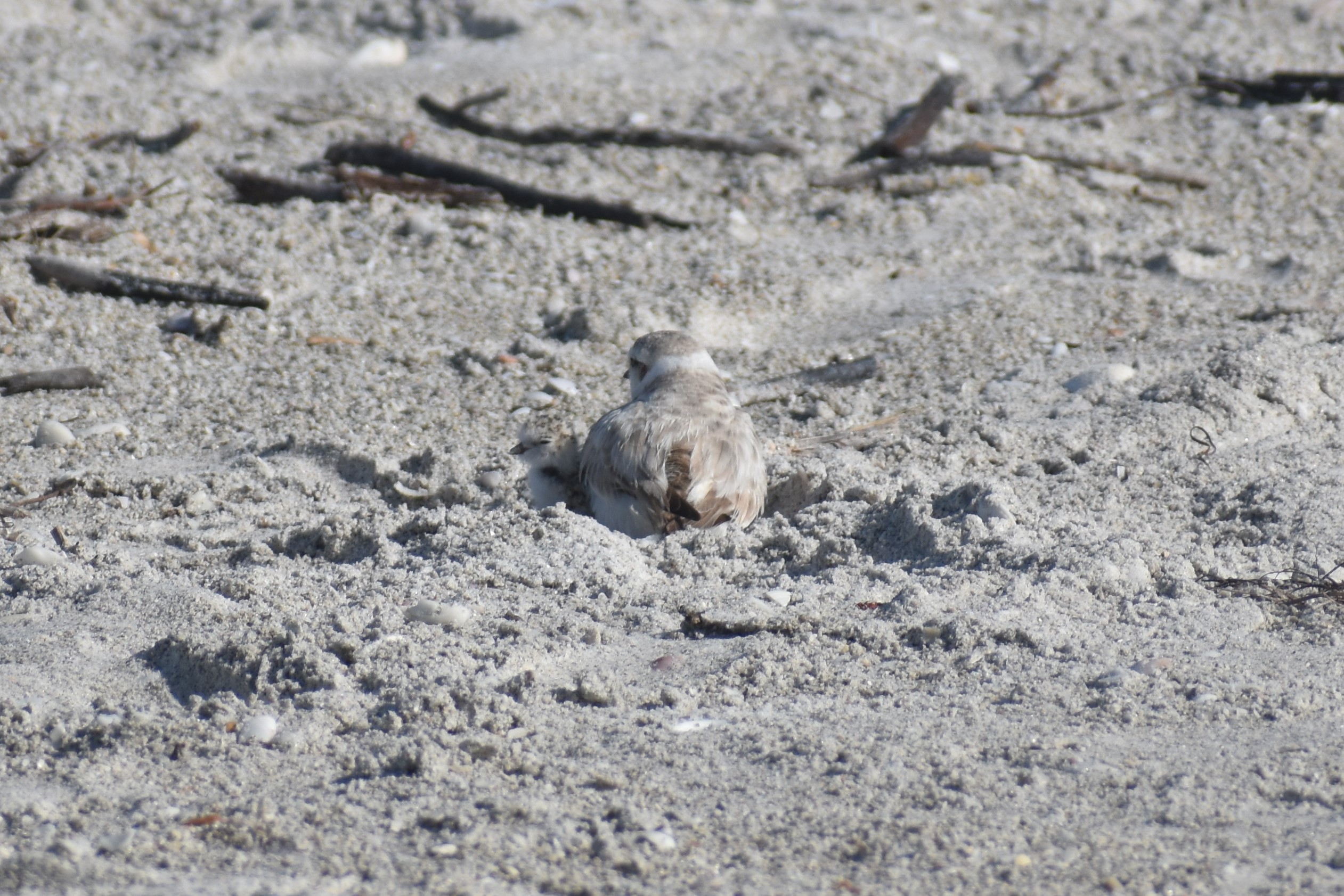 ax5hntol74lnx41hvxky