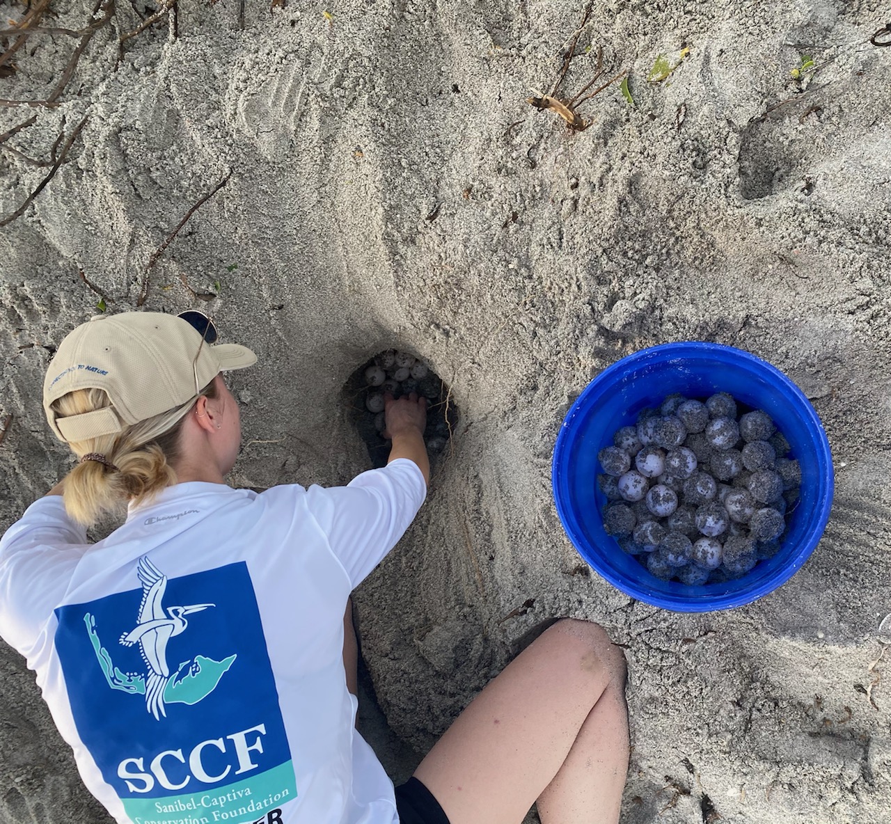 hkc8bpkx2w0w1uqjt2ff