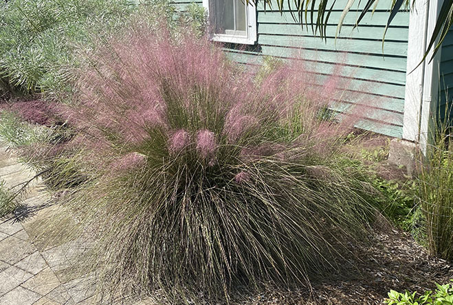 hqlkp8jhxl3a9uezq5hh