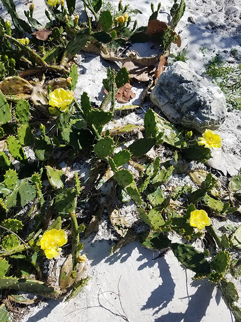 i02ktpz2gpgomvjklh00