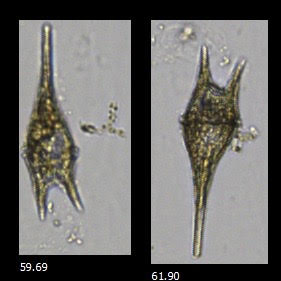 istgmvm5l3ku2x12bx9z