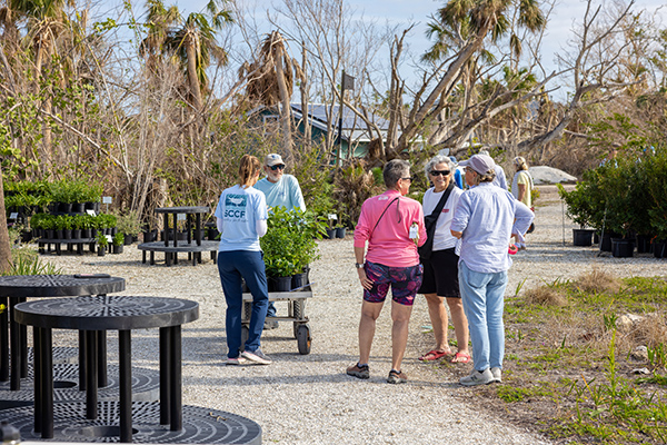 kycrsrx9zcjszreh7w48