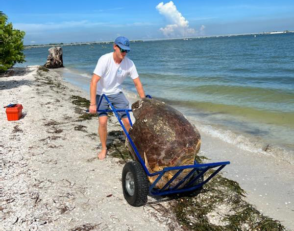 mxgmkjgzb9bcslrsfiia