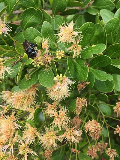 nue0dp5vjcxoh0lofkc7