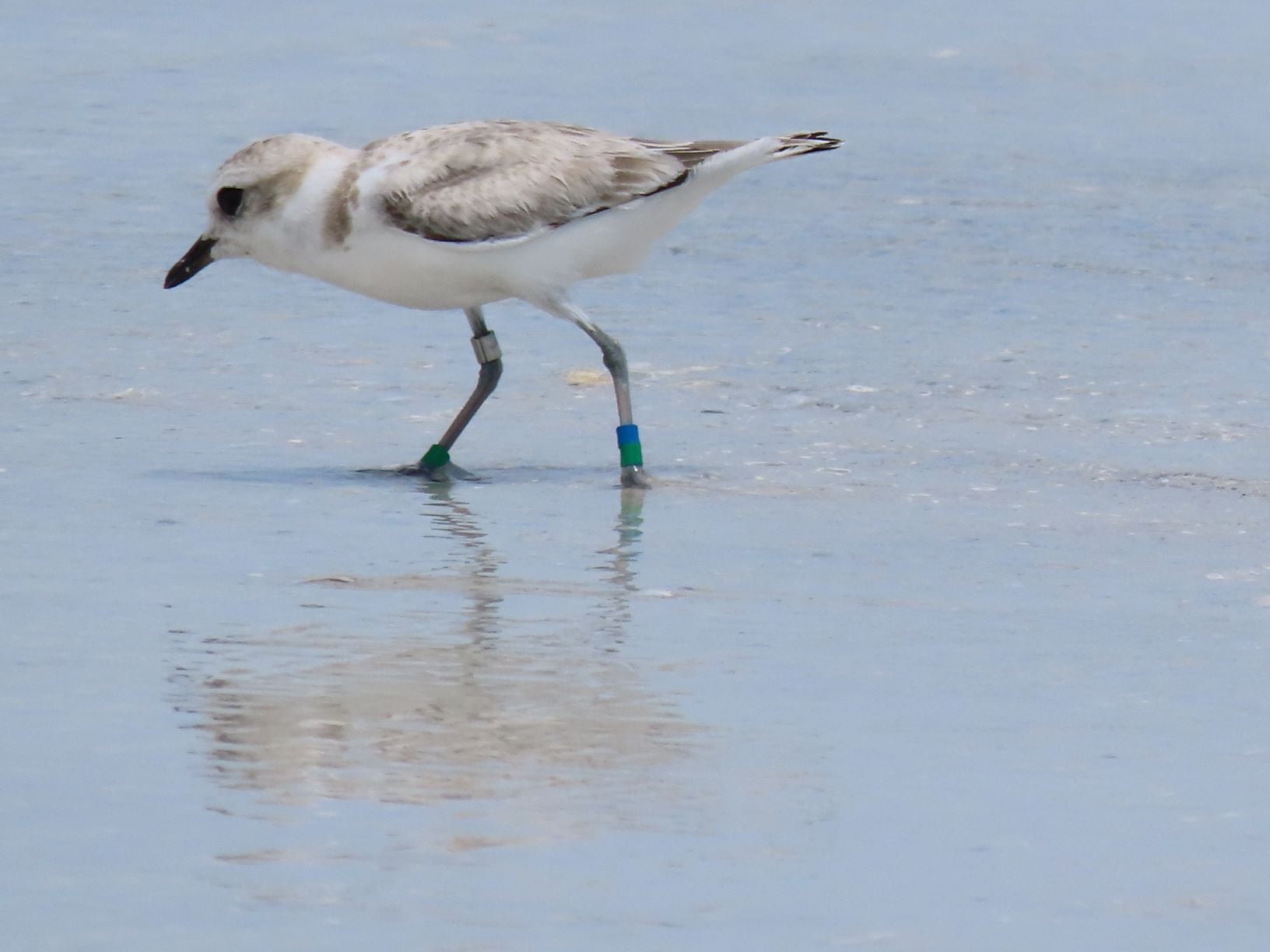 pagjv6mmjfsocxlfwyt4