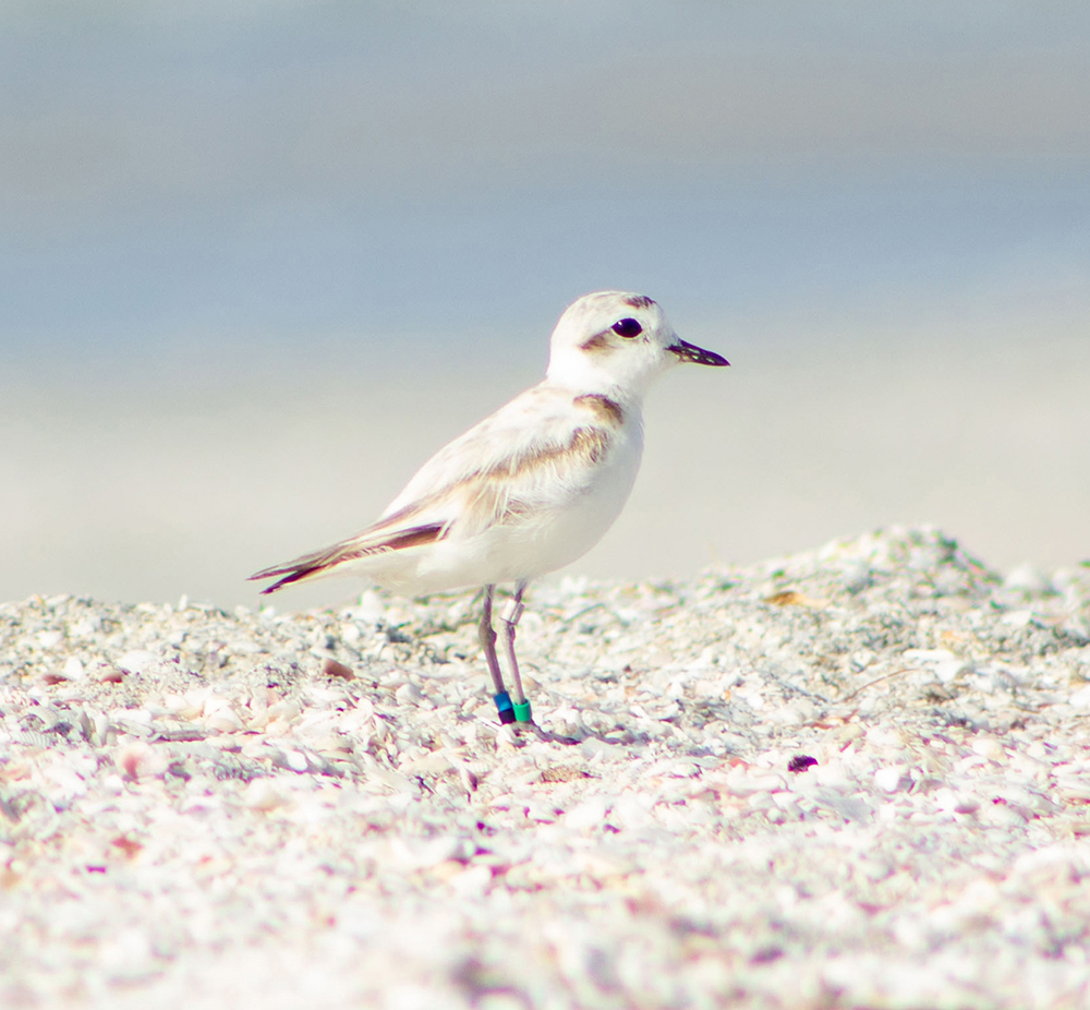 rgnbdh4aapj2uc5bmsgz