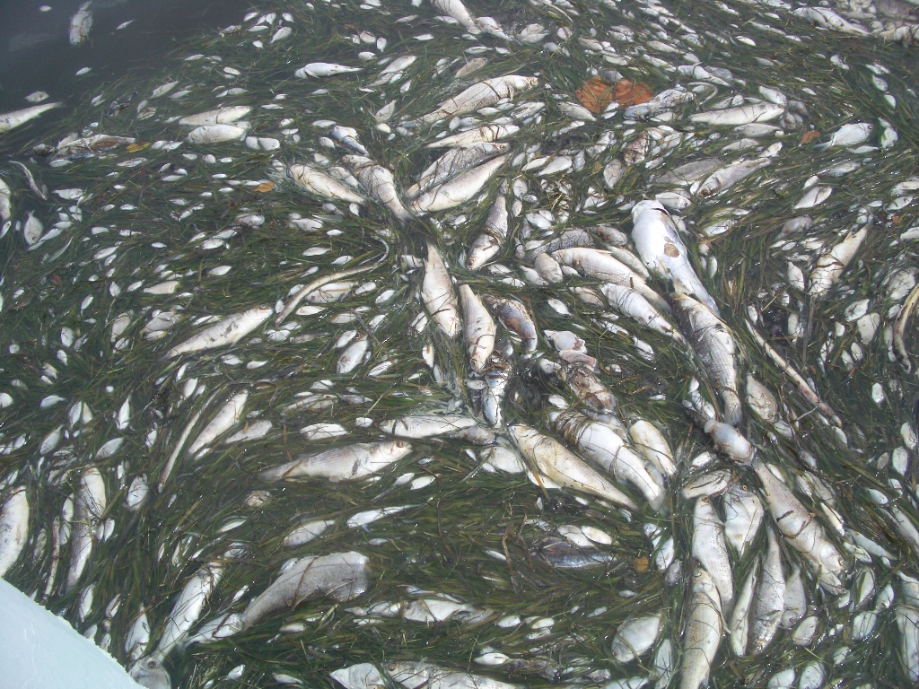 ro1wor6fb5qy04nonuus