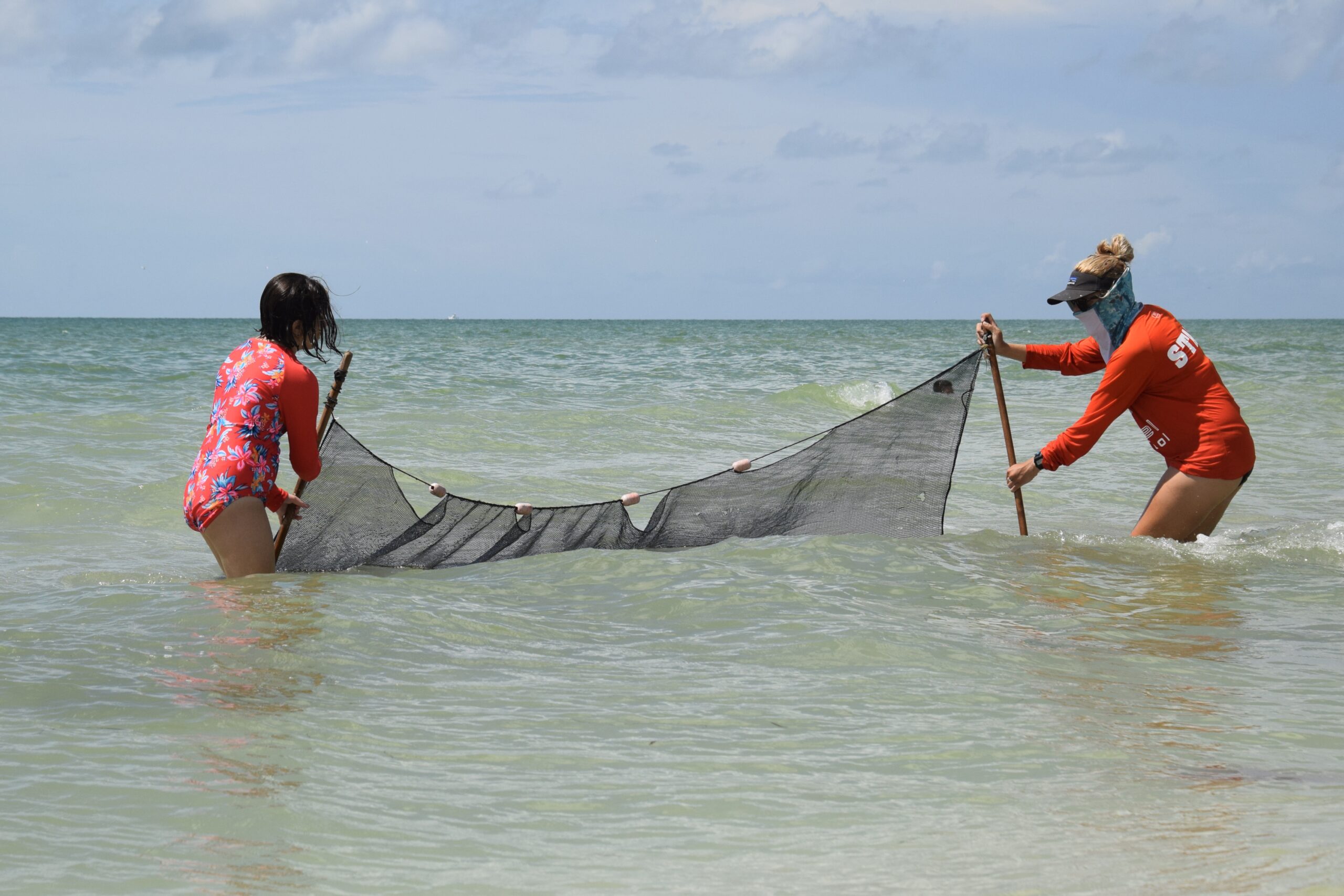 szpizmxf47o2ilsyermr