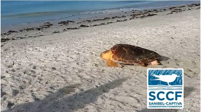 vhw2glnbwbjqy6qx0kpf