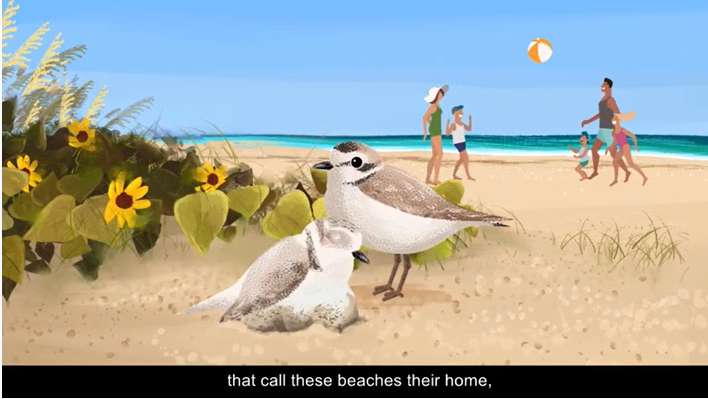 w57qphmr1jfvs1phgtuh