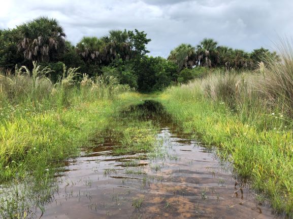 y8snlnpn2aqtnyadqncy