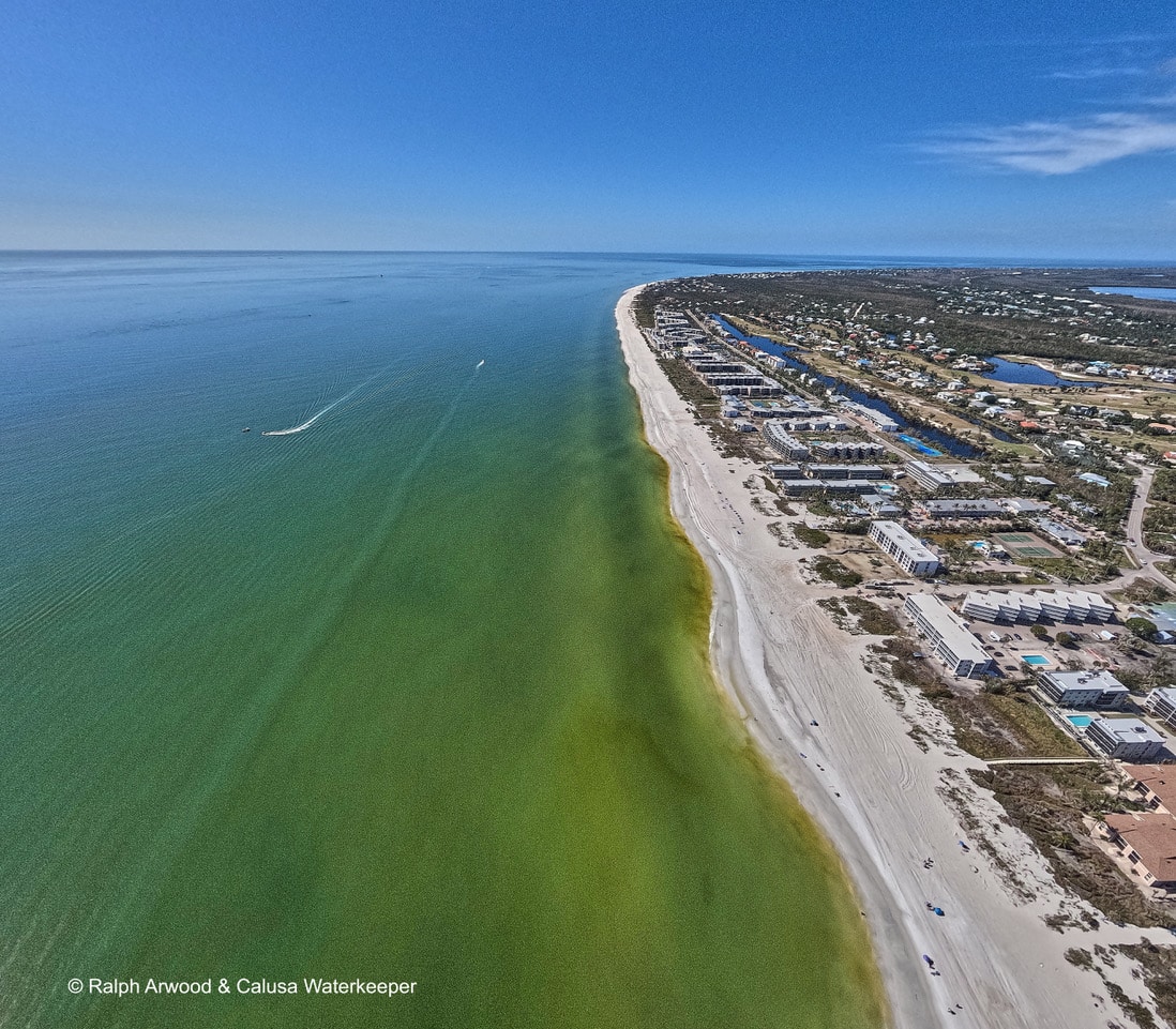 Red Tide Along Shore Sanibel