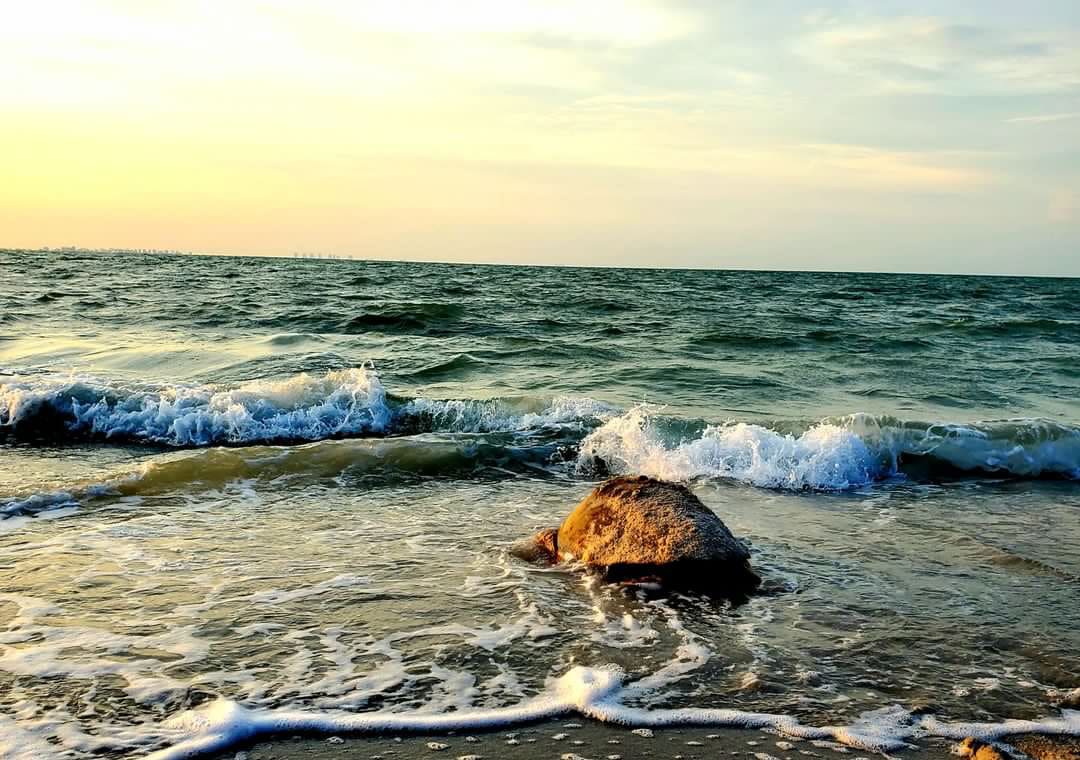 41466AF4-532B-44BC-9D6D-C0654867565A-2