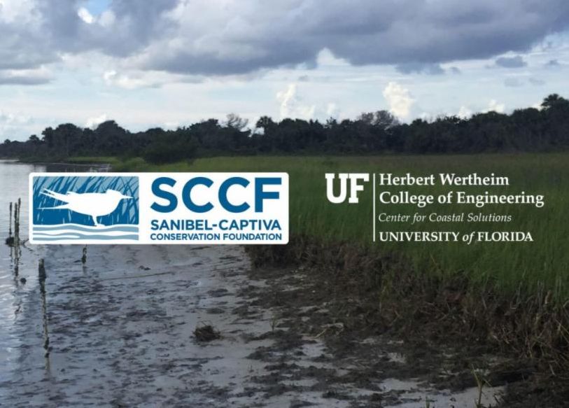 5367d58b-a764-4579-9979-22d7fa216f2a