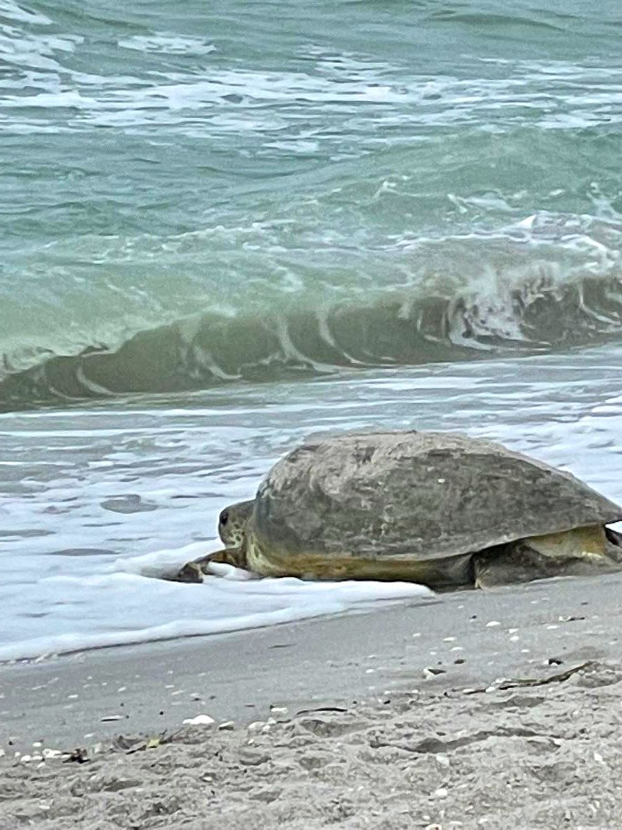 70a670b6-4d6e-4f5c-ac1a-a904b3a8fb2c