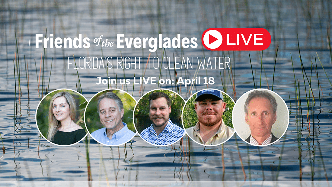 image of five headshots with text 'friends of the everglades live florida's right to clean water april 18'