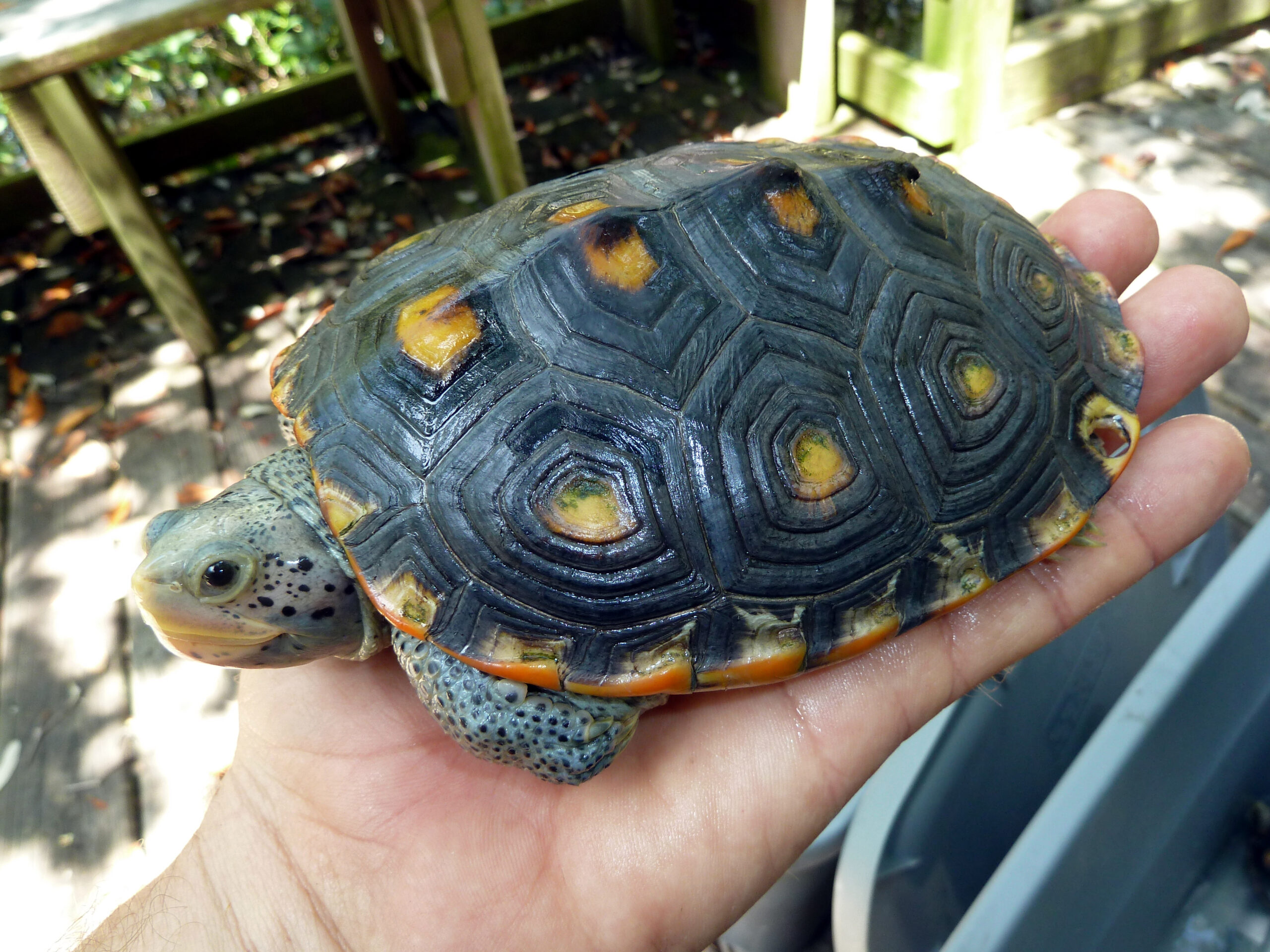 cytbgtxafqpaq2fnl5gs