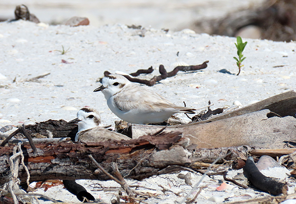 hulaetqeqs3ovffw2tph