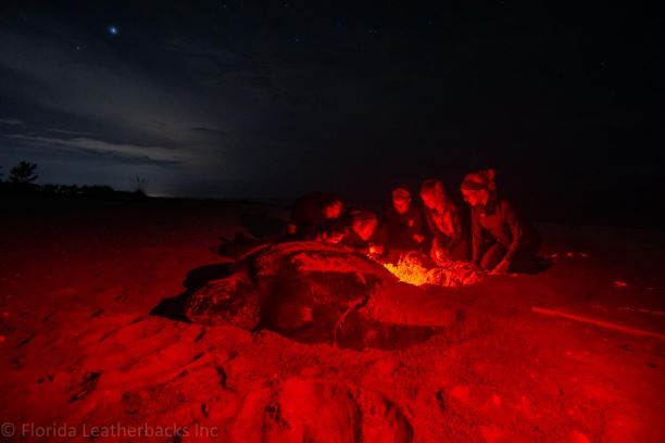 i7rnftois74eqesy9b5z