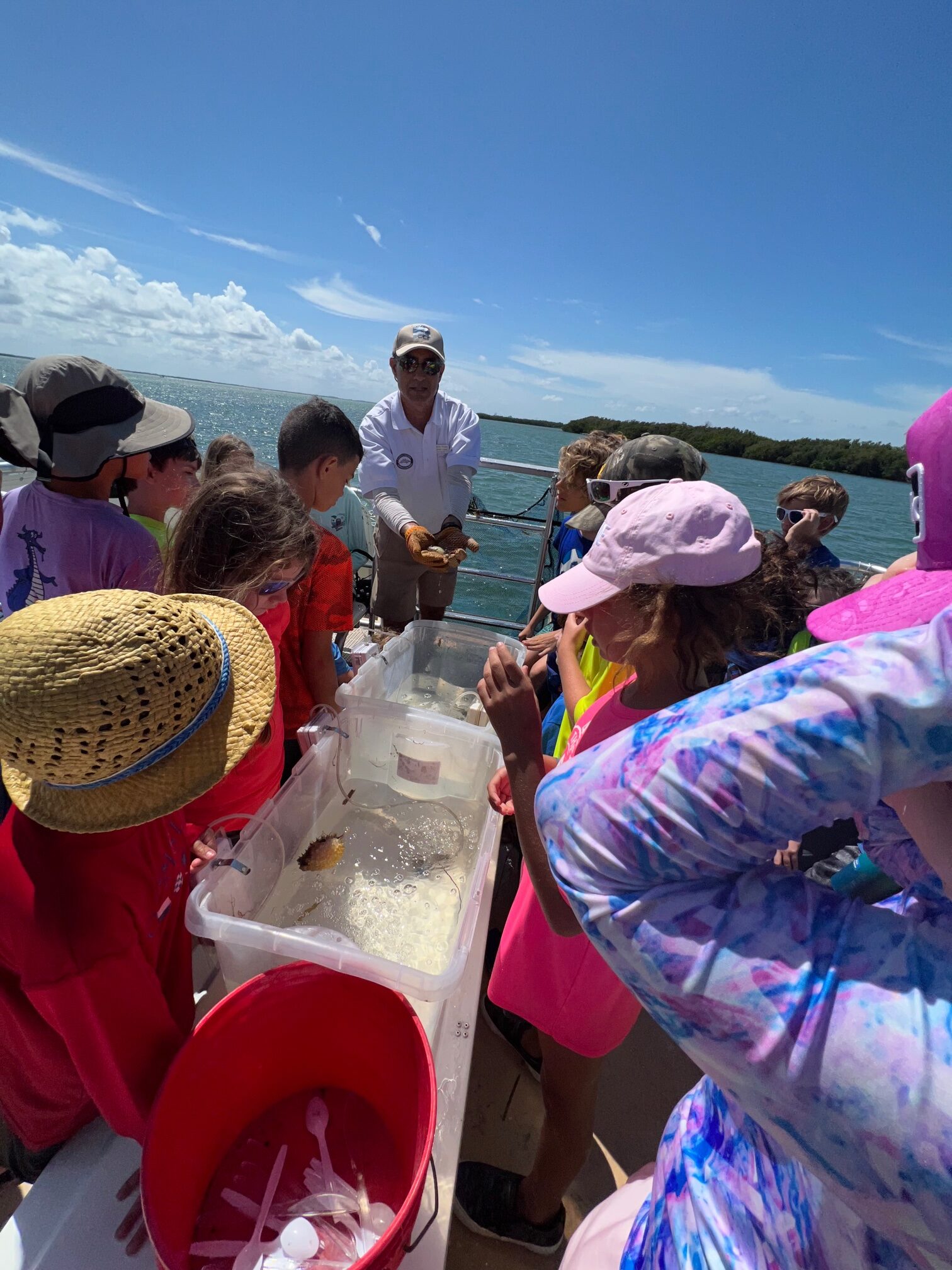 i9du1wc1mlh77hhcug7c