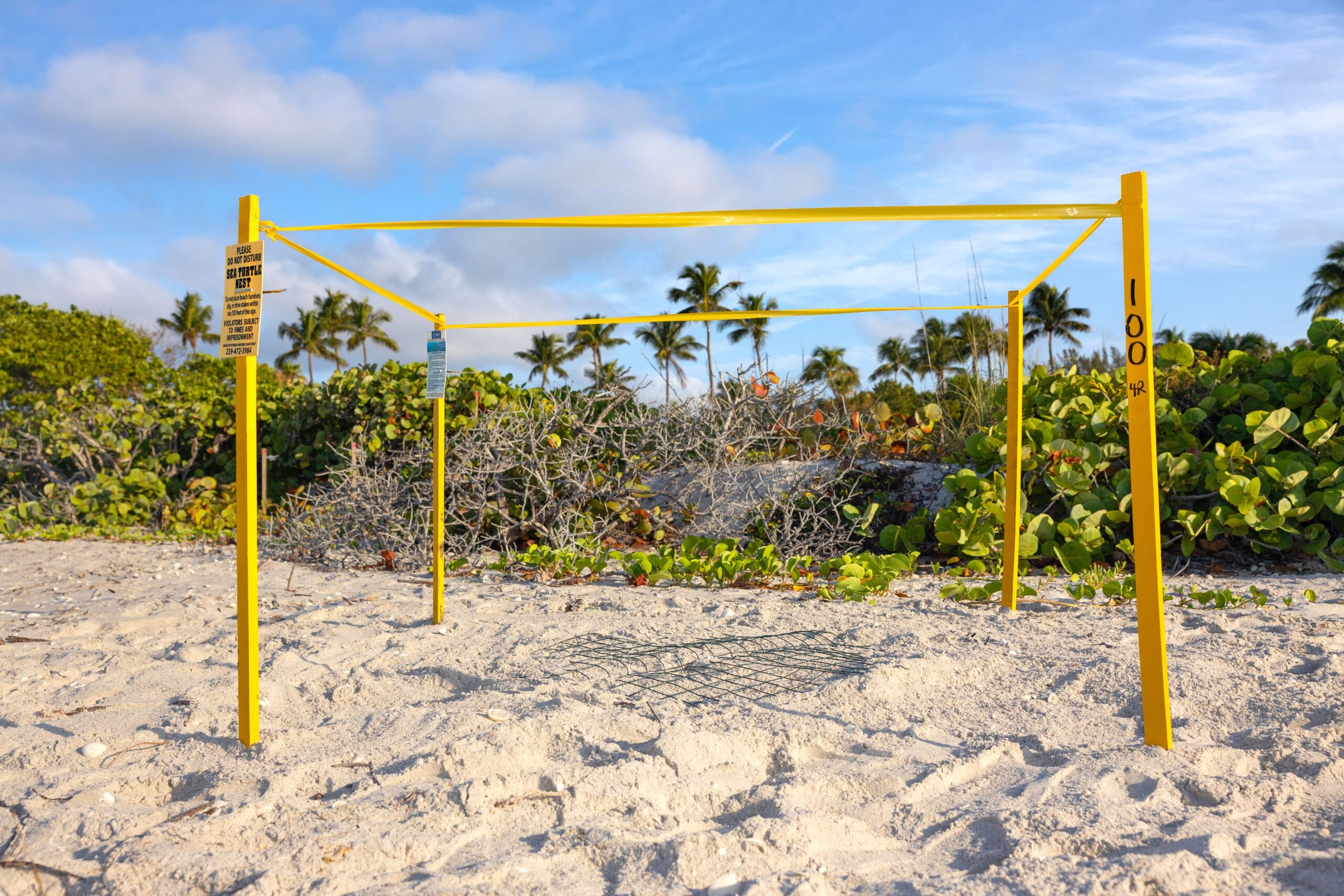 jeshffubgcupat3jkcbt